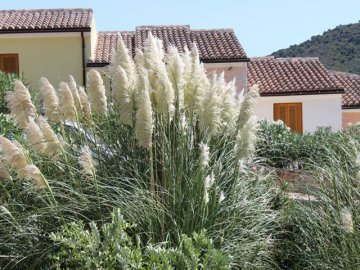 Vakantiepark Sardinie - Le Bouganvillage - Le Vele in Budoni (2)